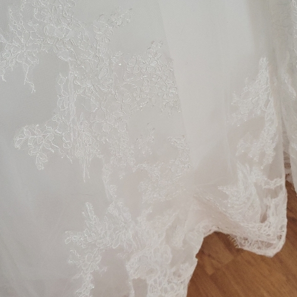 DaVinci Wedding Ballgown - Picture 8 of 12